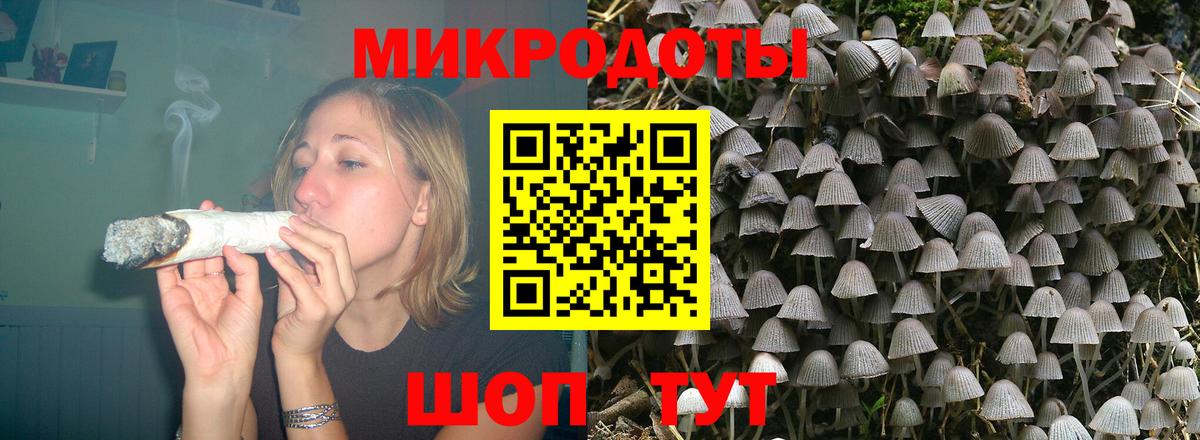 Галлюциногенные грибы Magic Shrooms Светлоград
