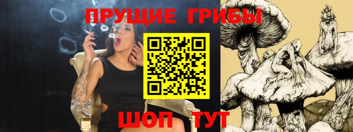 Светлоград  Галлюциногенные грибы мухоморы  Вход с VPN  Псилоцибиновые грибы Cubensis 