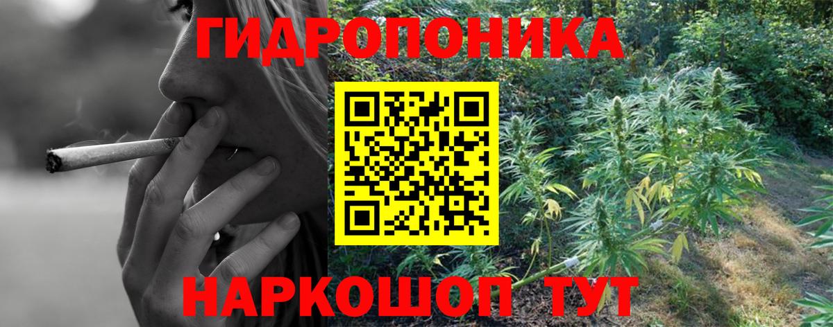 Каннабис гибрид Светлоград
